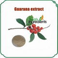 Guarana Seed Extract