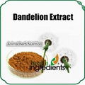 Dandelion Extract