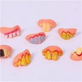 False Teeth Toy