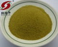 HIght-quality Green Chili Powder