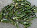 Manufactures Seliing  Green Chili