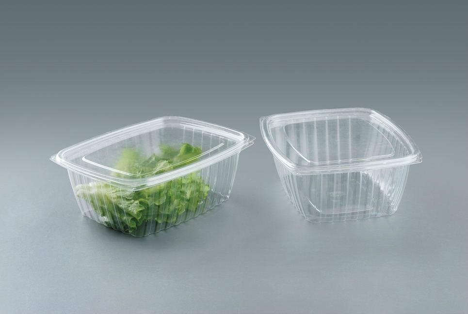 Custom plastic disposable salad container 2