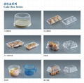 Blister plastic disposable food