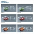 Accept custom order plastic disposable food container 3