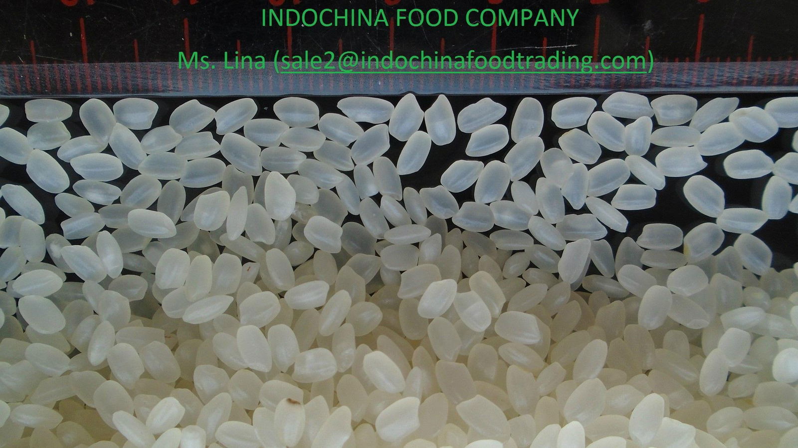 VIETNAM JAPONICA RICE 5% BROKEN- INDOCHINA FOOD TRADING PTE .LTD