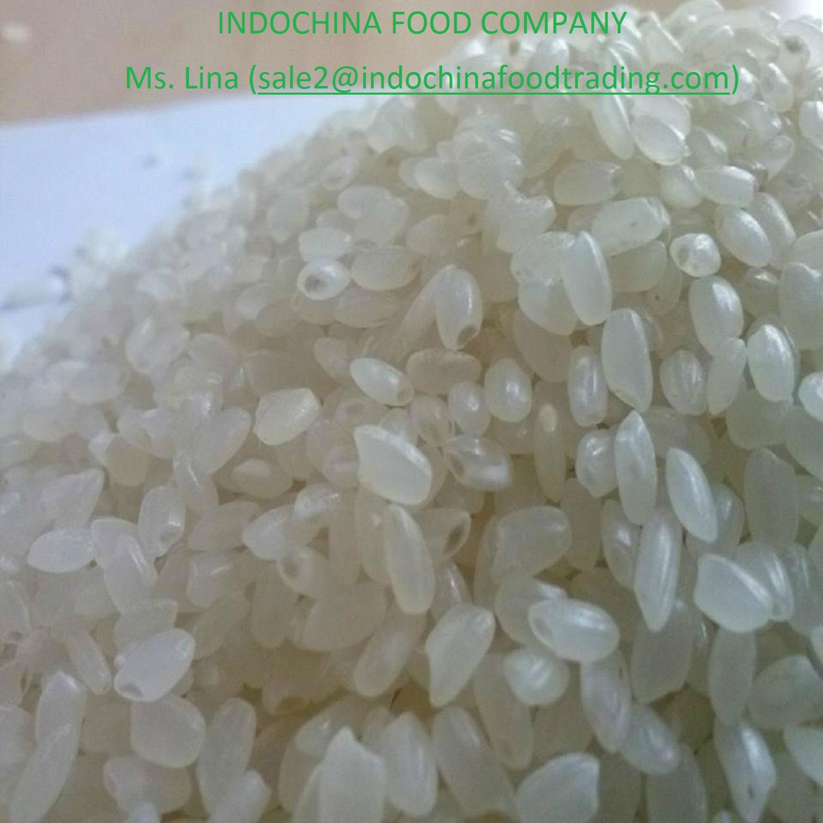 VIETNAM JAPONICA RICE 5% BROKEN- INDOCHINA FOOD TRADING PTE .LTD 2