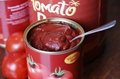 Canned Tomato Paste 70g 3