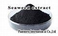 seaweed extract organic fertilizer 2
