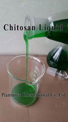 Chitosan Liquid