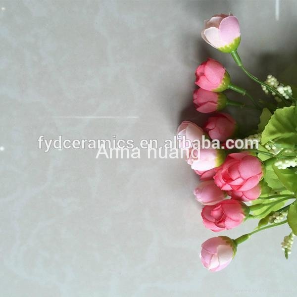 Premium quality of polished porcelian tiles 2