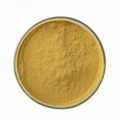 Astragalus Extract