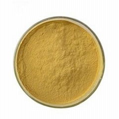 Astragalus Extract