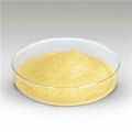 Ginger Extract Powder