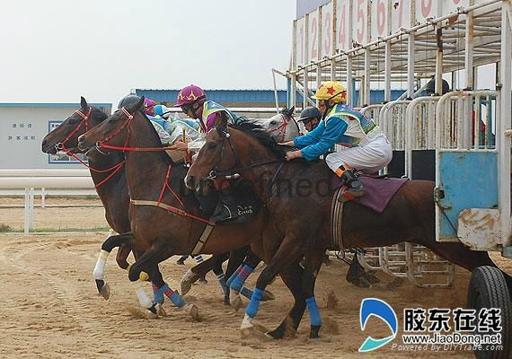 江蘇常州賽馬比賽成勣測試儀器 2