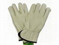 Cheap Price Cow Leather Safety Driving Glove In China Manufacturer 1