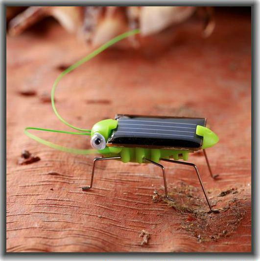 Green Energy Intellectual Solar Toy Kit Insect Locust grasshopper Christmas gift
