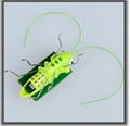 Green Energy Intellectual Solar Toy Kit Insect Locust grasshopper Christmas gift 2