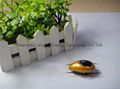 Solar Power Product Intellectual DIY Toy Insect Scarab beetle 216-00 2