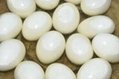 High Quality Fresh Table Chicken Egg White and Brown 