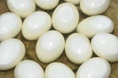 High Quality Fresh Table Chicken Egg White and Brown