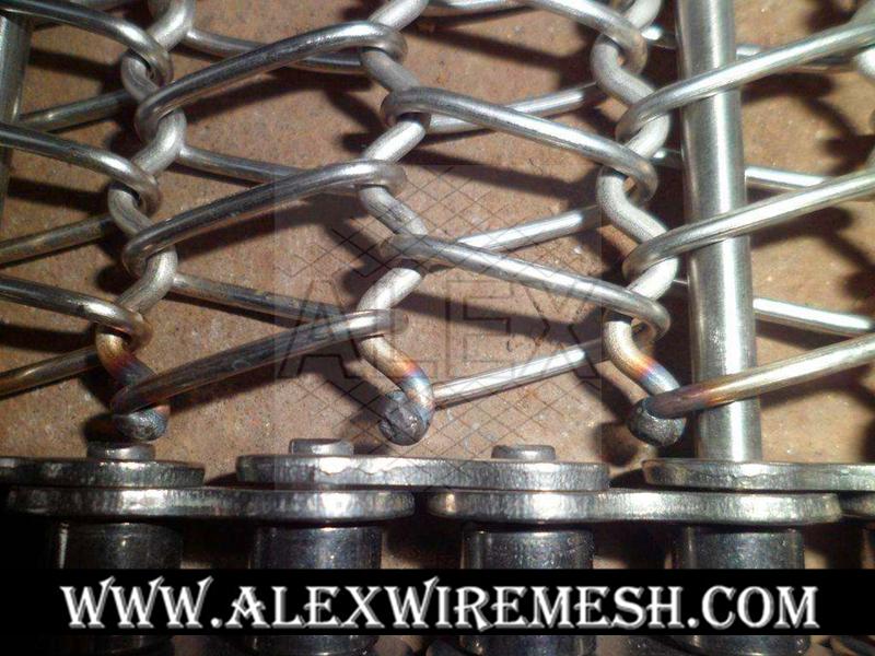 Chain Driven Conveyor Belt Alex011 Alex (China Manufacturer