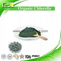 EOS & USDA Certified Organic Cell Wall Broken Chlorella