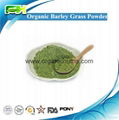 EOS & USDA Certified Organic Barley Grass Powder