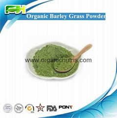 EOS & USDA Certified Organic Barley Grass Powder