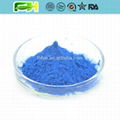 Natural Colorant Spirulina Extract