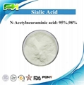 Brain Supplement 95% Sialic Acid