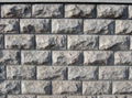 Granite Stone Mushroom Wall Outdoor Decoration Tiles 4