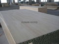 Radiate pine finger jointed laminate panel 1