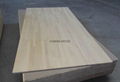 Radiate pine finger jointed laminate panel 4