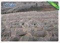 White Landscape Fabric Weed Control Non woven Landscape Fabric for Agriculture-4