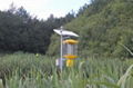 solar mosquito killer lamp Solar