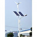 wind solar street light Excellent Wind-solar Street Light