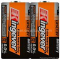 Super Power 1.5V C AM-2 LR14 alkaline dry cell battery 4