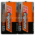  Super Power 1.5V D AM-1 LR20 alkaline dry cell battery  4