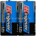  Super Power 1.5V D AM-1 LR20 alkaline dry cell battery  2