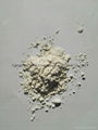 DCP Dibasic Calcium Phosphate 18% 1