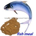 fish meal 1
