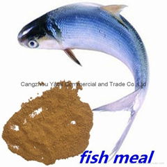 fish meal