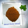 meat  and bone meal 1