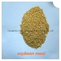 soybean meal