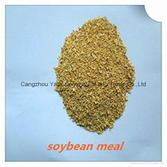 soybean meal