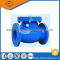 Swing check valve