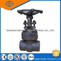 forged steel gate valve