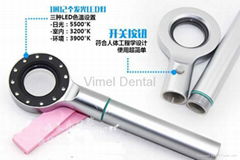 dental Led Light Base Tri shade matching