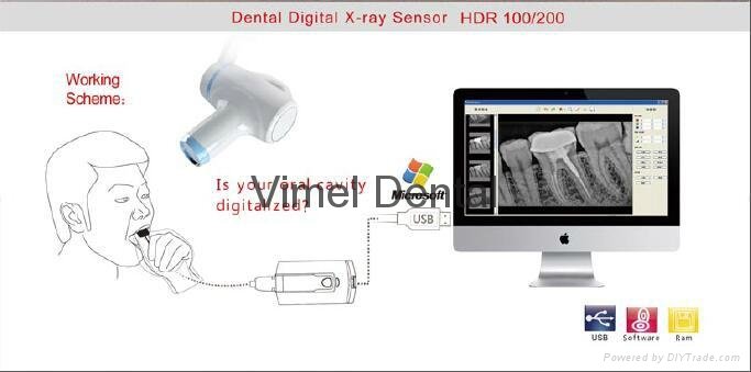   HDR USB Dental digital X-ray sensor Digital radiography system digital intra 2