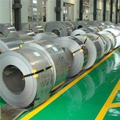 Stainless Steel Coil